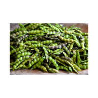 Pigeon Pea Pigeon Pea