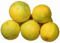 Sweet Lime - Mausambi